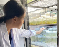 Время НОВЫХ открытий