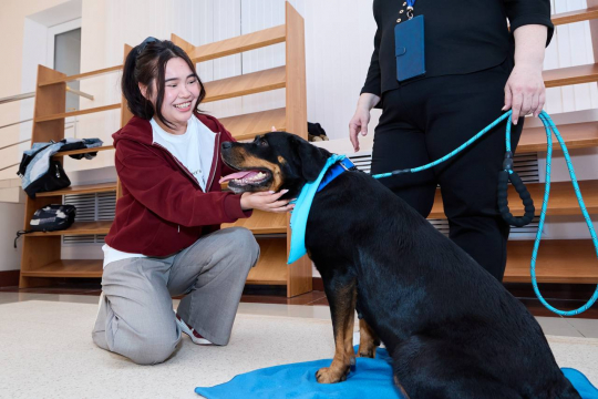 Первых ANIMALтерапевтов будут обучать в КРУ